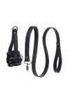 Ball Stretcher et laisse - Strict - 2